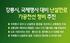 강릉시, 국제행사 대비 난설헌로 가공전선 정비 추진 이미지