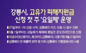강릉시, 고유가 피해지원금 신청 첫 주‘요일제’운영 이미지