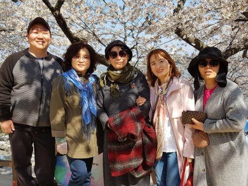 2019 경포 벚꽃축제 이미지