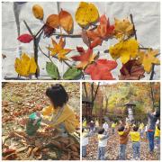 11월 유치원(어린이집)친구들의 유아숲체험 이미지