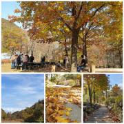 11월 솔향수목원 풍경 이미지