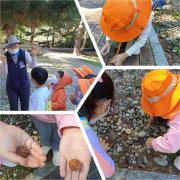 10월 유치원(어린이집)친구들의 유아숲체험 이미지