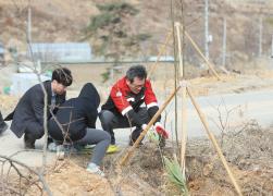 경포산불피해지역 산림복구 행정국 자원봉사활동 썸네일 8