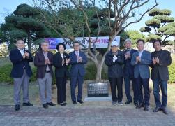 시 승격 70주년 기념 강릉시민 대화합 한마당 기념식수 썸네일 7