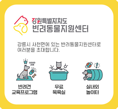 강원특별자치도
반려동물지원센터
강릉시 사천면에 있는 반려동물지원센터로
여러분을 초대합니다.