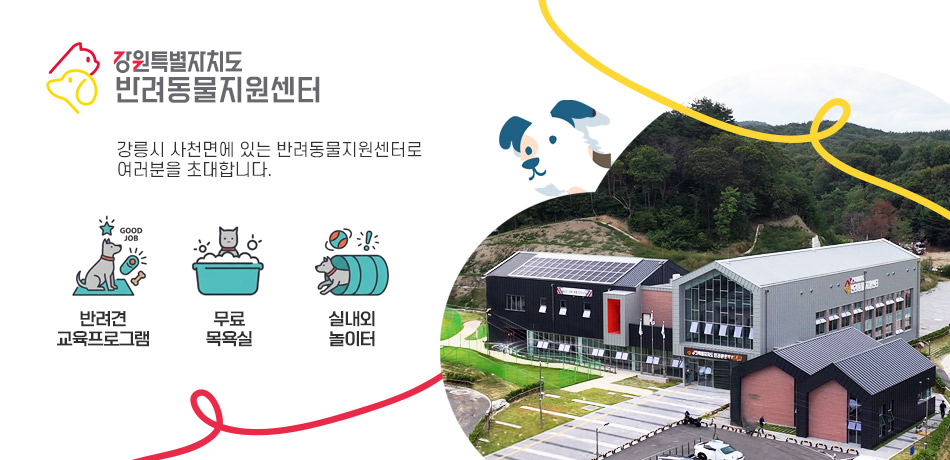 강원특별자치도 반려동물지원센터
강릉시 사천면에 있는 반려동물지원센터로 여러분을 초대합니다.
반려견 교육프로그램
무료 목욕실
실내외 놀이터