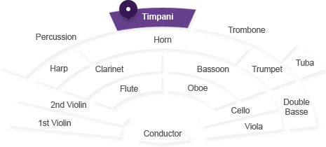 팀파니 위치 : 지휘자 기준 호른 뒤 중앙에 있습니다.