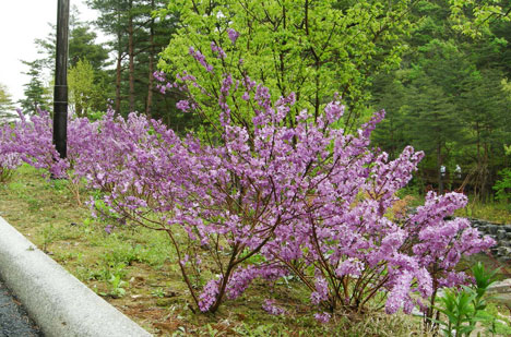 사계정원