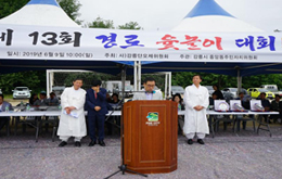 단오맞이 경로 윷놀이 대회 사진