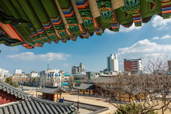 Nha phủ Daedohobu Gangneung