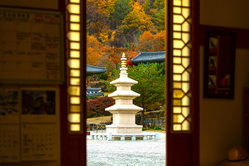Chương trình lưu trú tại chùa(Temple Stay)