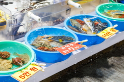 Chợ thủy sản Jumunjin