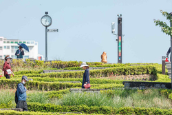 Dạo bộ cùng Gangneung