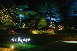 Vườn thực vật hương thông Gangneung