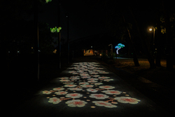 Con đường ánh trăng