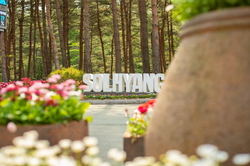 Vườn thực vật Solhyang Gangneung