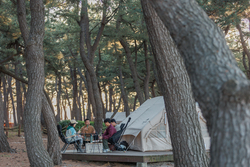 Khu cắm trại Solhyanggi Yeongok