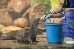 Thủy cung Gyeongpo