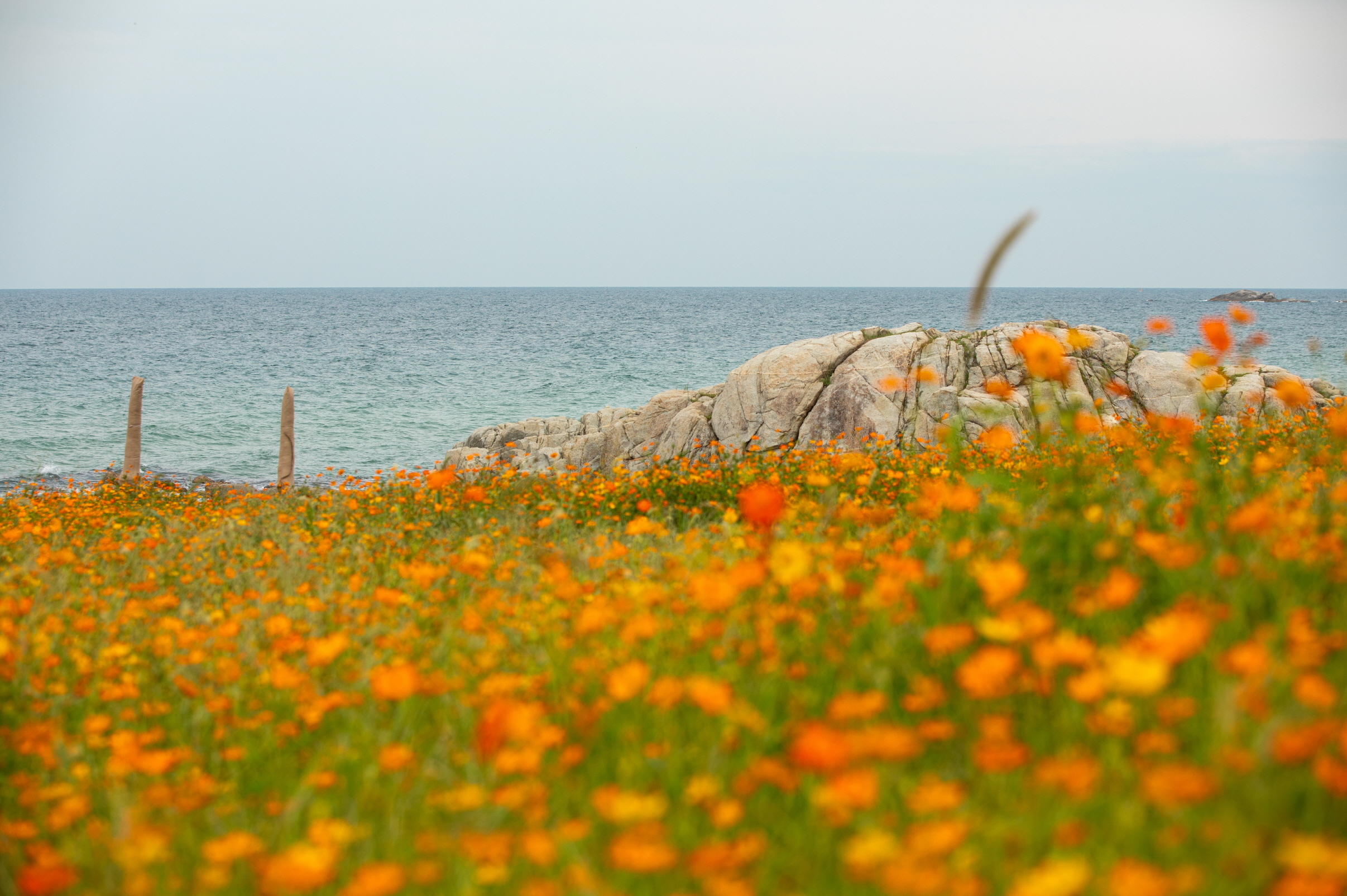 Điểm check-in mùa thu