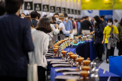 Lễ hội cà phê Gangneung 2023