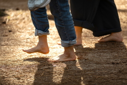 Đường dạo bộ thư giãn ven biển hương thông
