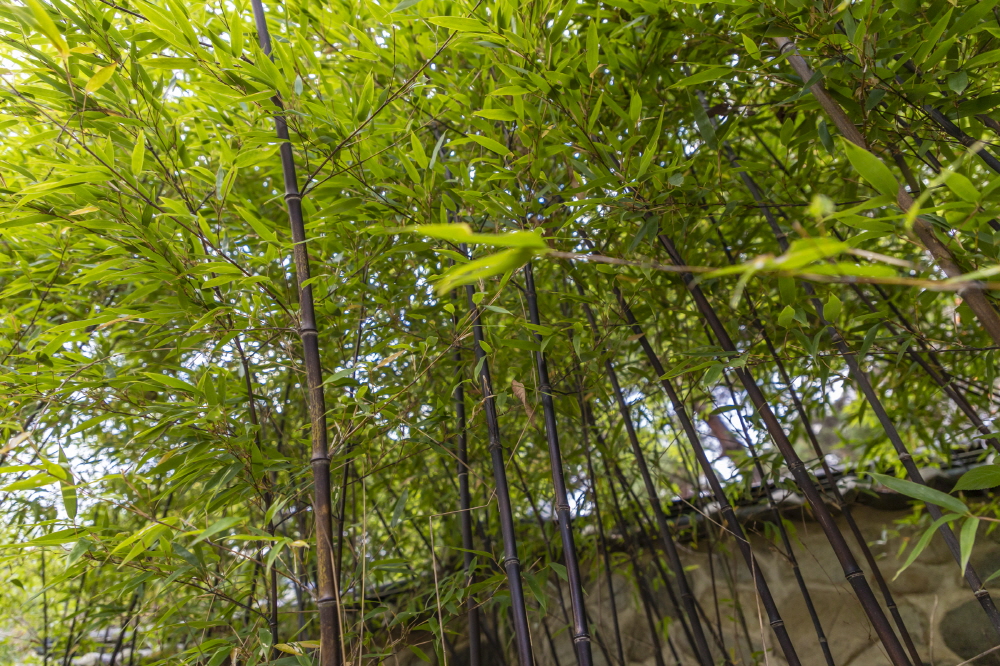 Ojukheon House: A Home That Remembers Its Residents Will Resemble Them 04