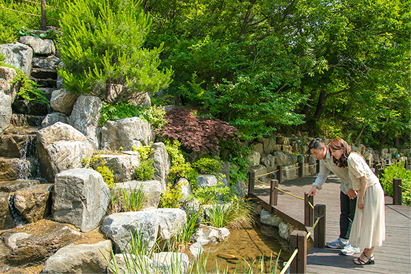 ソルヒャン樹木園