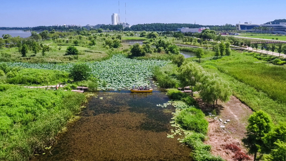 Làng đậu phụ Chodang 10