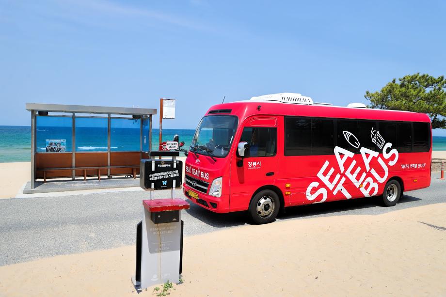 Xe buýt SeeTea Gangneung “ Giá vé như xe buýt thường, dịch vụ như xe Limousine”
